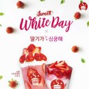 셀렉토 이미지