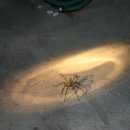 늘봄목장 이미지