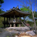 이야기가 있는 생태 탐방로 이미지