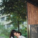 돼지홀릭 이미지