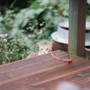 아트캠핑장 이미지