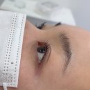 경기도 수원시 장안구 정자천로173번길 | 북수원 속눈썹, 화서역 속눈썹으로 유명한 갓나온미에서 자세한 상담 후 C컬 펌 후기