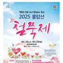 화원동산 전망대 | 2025 불암산 철쭉제 방문후기