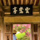 태고정(아래) | (대구여행) 달성 하목정, 배롱나무꽃이 속삭이는 여름날의 정취