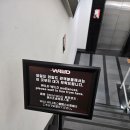 [협찬] 쇼뮤지컬 &lt;와일드 와일드&gt; 후기! 열정적인 쇼!