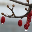 이도세탁소 이미지