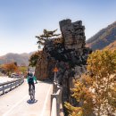 의암호가든 이미지