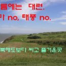 오데가꼬 이미지