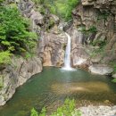 강나루송어횟집 이미지