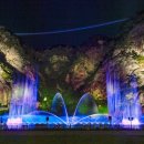 원주 출렁다리민박 이미지