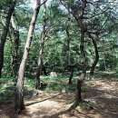 박달재자연휴양림 이미지