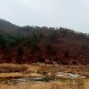 수입리민박 이미지