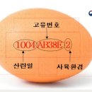 투엠