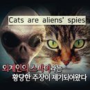 고양이는 외계인 이미지