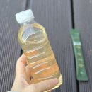 매실 | 티젠 콤부차 매실 효과 후기 저칼로리 맛있게 즐기는 법