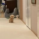 송도외과의원 | 인천 송도외과 송도센트럴내과의원 건강검진 대장 수면 내시경 후기