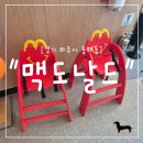 교하푸드 | "경기 파주시" 파주에 드디어! 20년 만에 오픈한 맥도날드 파주운정교하점 후기