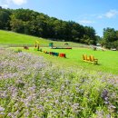 영아목장 이미지