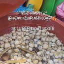 해뜨는 비치하우스 이미지