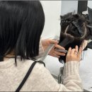사랑하는사람들헤어샵 이미지