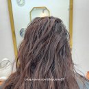 월촌역 | 세상 예쁜 코토리 베이지 대구 송현동 월촌역 미용실 후기