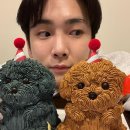 자랑케이크 이미지