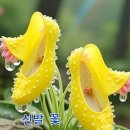 에이스환경