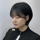 도도헤어보그