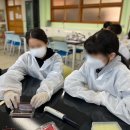 DNA 지문 분석 등 다양한 과학 수사 기법을 체험해보자! [과학수사학 / 11.4 인천광역시 석정중학교]