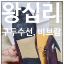 양지수선 이미지