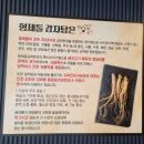 형제들 감자탕 이미지