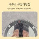 사하풋 이미지