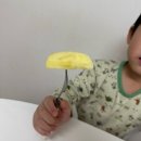 정농장 | 정담아농장 부사 사과 4번째주문 내돈내산 찐후기