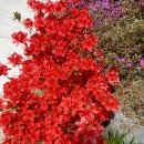 혜원민박 이미지