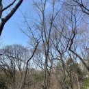 백수 | 백수 찍먹 후기 / 몸:편할게~ 맘:불편할게~