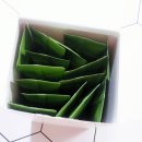(주)닥터디앤에이