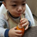 아침에녹즙