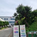 완산-19 이미지