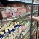 백필농장 | 자유로운몽골을봐자유로워