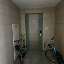 동산동-22 이미지