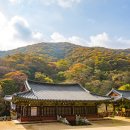 가을여행 이미지