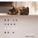 함께하기좋은날
