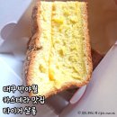 타이거살롱 이미지