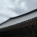 차꽃오미