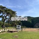 안동 독채펜션 솔담하우스 내돈내산 연박후기