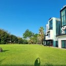 제주애견동반감성숙소 르페도라 이미지