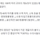 여울동물병원 이미지
