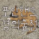 경의 | 홍대 유기견 카페 ‘포인핸드 경의숲점’ 내돈내산 후기