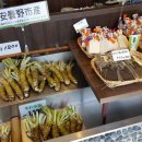 현 소프트 이미지