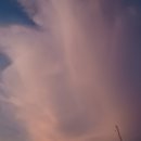 예일스테이 이미지